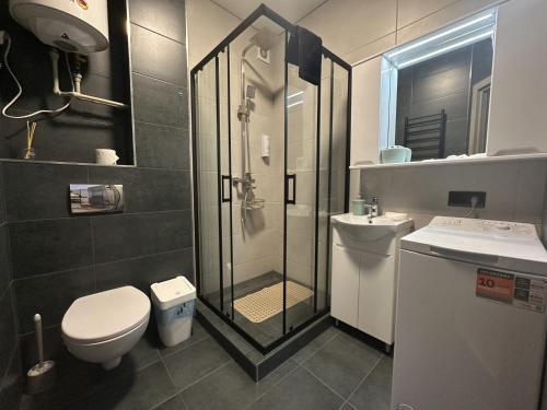 a bathroom with a shower and a toilet and a sink at Mini home apartment in Ternopil