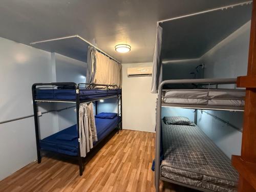 a room with two bunk beds and a wooden floor at OQP Hostel Miami in Miami