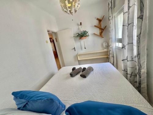 Amapola de SteraM FLATS Torremolinos