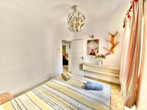 Amapola de SteraM FLATS Torremolinos