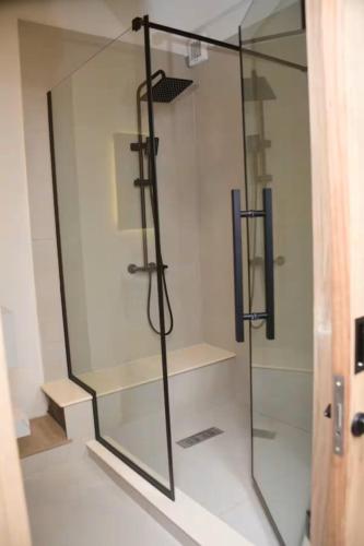 a shower with a glass door in a bathroom at BnB Mahebourg apartment 2 in Mahébourg