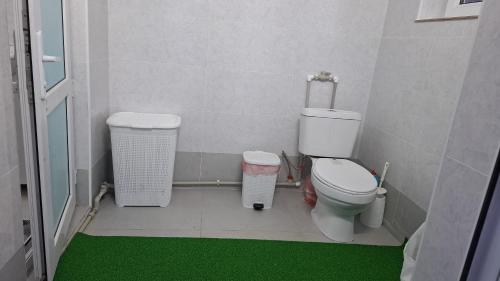 a bathroom with a toilet and a green rug at Guest House Aska Ethno in Kochkorka