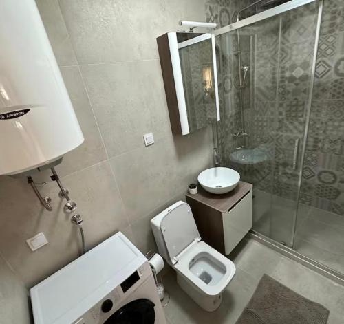a bathroom with a toilet and a sink and a shower at Luxury Apartment with Sea View & Heated pool in Kotor