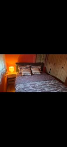 a bed with two pillows on it in a room at Vasilis House, Batković in Bijeljina