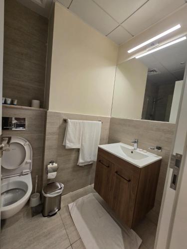 a bathroom with a sink and a toilet at شقة مصدر in Abu Dhabi