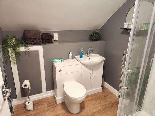 a bathroom with a toilet and a sink and a shower at Fairfield in Felton