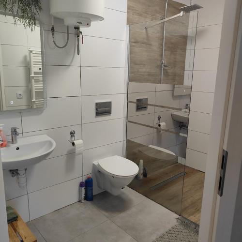 a bathroom with a toilet and a sink and a shower at Redkot 40A in Zielona Góra