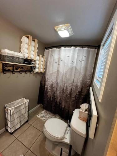 a bathroom with a toilet and a shower curtain at Old No. 8 Cabin in Alpine