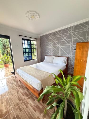 a bedroom with a bed and a potted plant at Tangara Real Hotel Campestre in Quimbaya