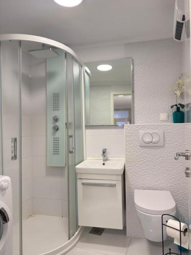 a bathroom with a shower and a toilet and a sink at Apartman Luna in Šibenik