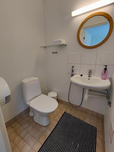 a bathroom with a toilet and a sink and a mirror at Wanha Mannila in Savonlinna
