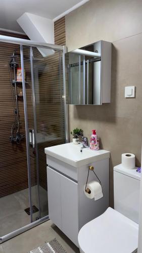 a bathroom with a shower and a sink and a toilet at Urban Apartment Karpoš in Skopje