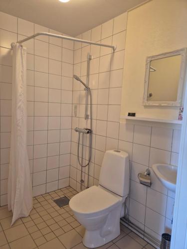 a bathroom with a toilet and a shower and a sink at Vitahästen in Hästveda