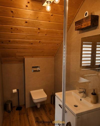 a bathroom with a toilet and a sink at Apartamenty Markowa Dolina in Rymanów
