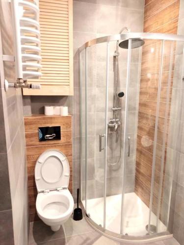 a bathroom with a toilet and a shower at Rynek 5 in Poznań