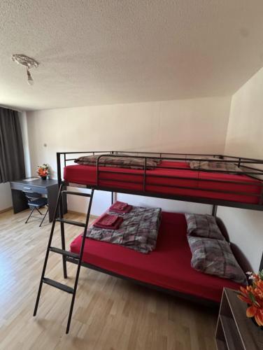 Chambre quadruple dans un appartement