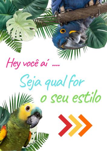 two parrots are sitting on a tree branch at Chácara Vivenda Aconchego in Itupeva