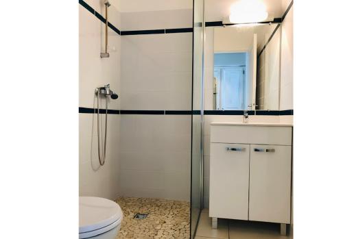 ein Badezimmer mit Toilette und Glasdusche in der Unterkunft Hotel Pelican in Schœlcher