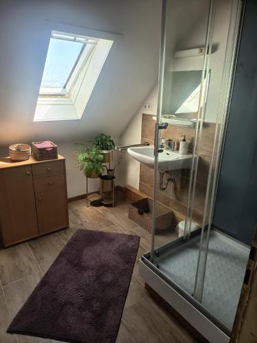 a bathroom with a shower and a sink at Haus der Sonne Apartment in Blaufelden
