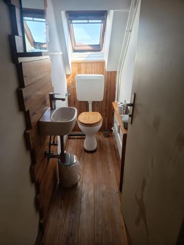 a bathroom with a toilet and a sink at Haus der Sonne Apartment in Blaufelden