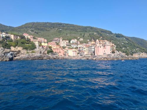 a group of houses on a hill next to the water at Boat Experience Holiday26 in La Spezia