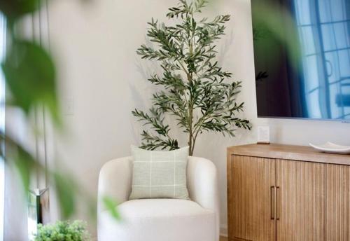 a living room with a chair and a plant at Wlk 2 MSU Fire Pit Pickleball Sleeps 8 in Starkville