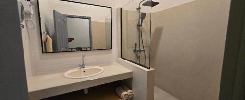 a bathroom with a sink and a shower and a mirror at Elysee Vacances in Trou aux Biches