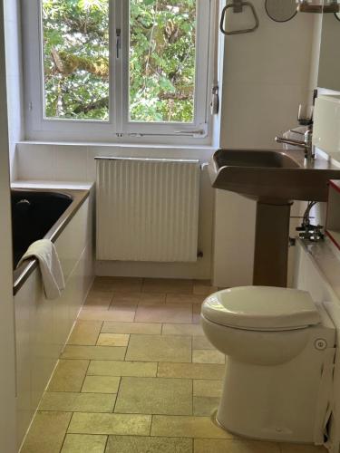 a bathroom with a toilet and a sink and a window at La belle Époque in Tramelan