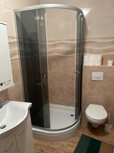 a bathroom with a shower with a toilet and a sink at Desa's place in Babino Polje