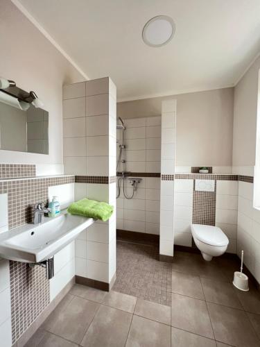 a bathroom with a sink and a toilet at Spreewaldhof am Wasser in Raddusch
