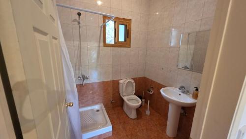 a bathroom with a toilet and a sink at Platres Villas in Kato Platres