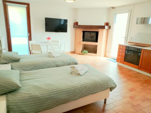 a living room with two beds and a fireplace at Ciconi Garden Studio Apartment in Gorizia