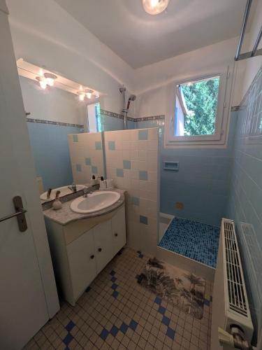 a bathroom with a sink and a mirror at Le Petit Gîte de L'Étang in Saint-Géry
