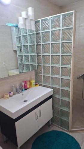 a bathroom with a white sink and a mirror at Nature House in Pljevlja