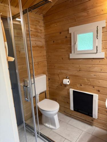 ein Badezimmer mit Toilette und Fernseher in der Unterkunft kemphaan in Appelscha