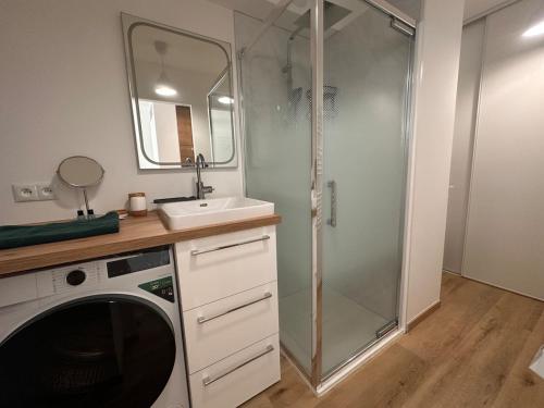 Studio cabine climatisé avec cour et parking