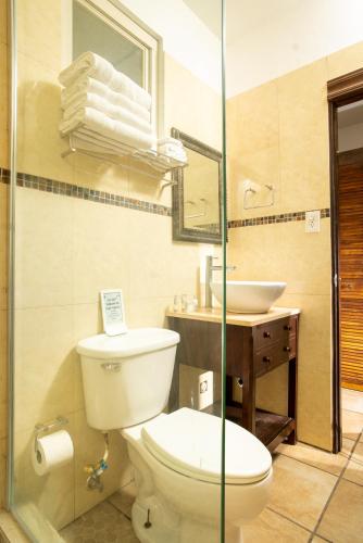 a bathroom with a toilet and a sink at Lazy Parrot Inn in Rincon