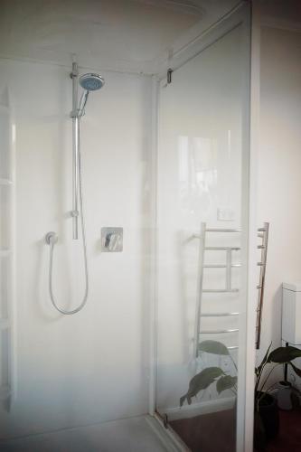 a shower in a room with a glass wall at Aurum Retreat in Reefton