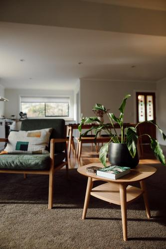 a living room with a potted plant on a table at Aurum Retreat in Reefton