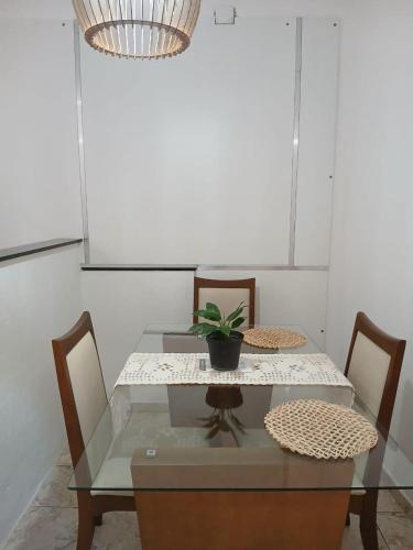 a glass table with a potted plant on top of it at Casa Progresso in Juiz de Fora