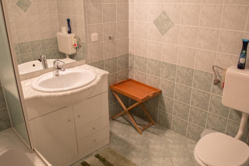 a bathroom with a sink and a toilet at Apartma Smole in Kranjska Gora