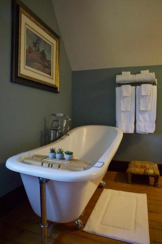 a bathroom with a bath tub with two plants on it at Magnetic Hill Winery in Moncton