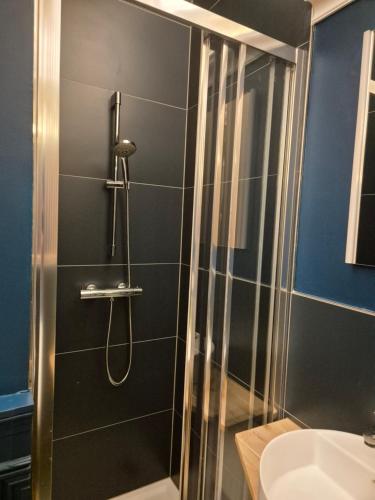 a bathroom with a shower and a sink at Small Modern Rooms in Luxembourg