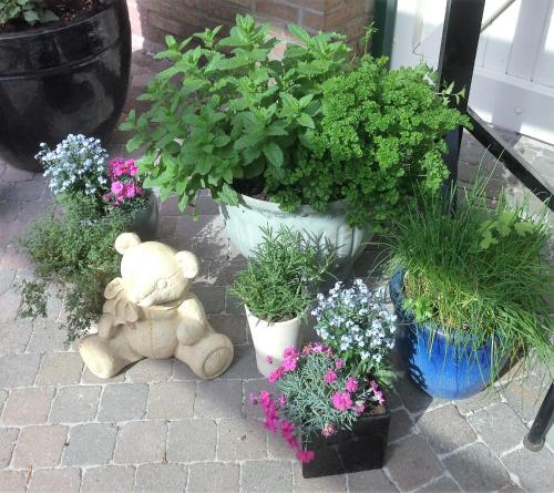 Jardín al aire libre en B&B Elegance Hamont