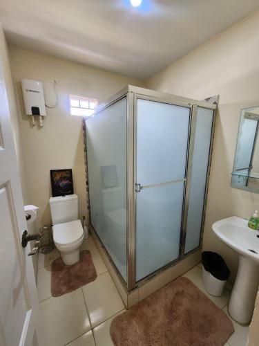 a bathroom with a shower and a toilet and a sink at AG3K Oasis in Buccoo