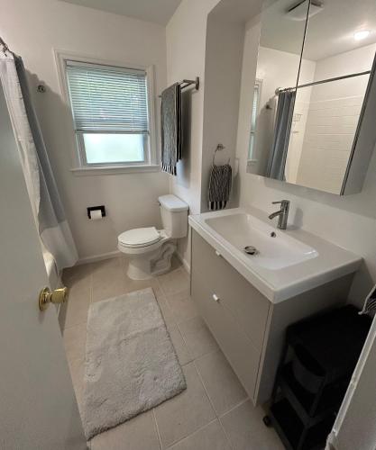 a white bathroom with a sink and a toilet at Charming Roanoke Guesthouse in Roanoke