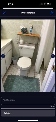 a bathroom with a white toilet and a shower at Boho Chic in New Port Richey