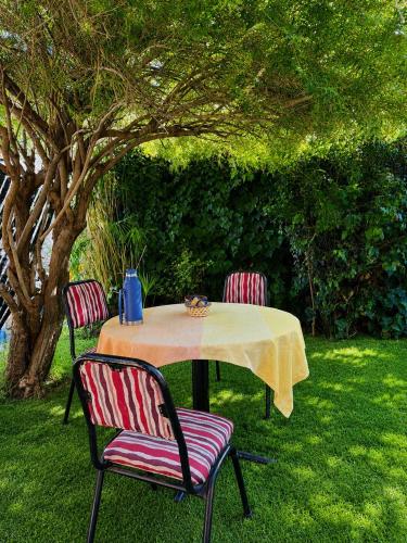 a table and two chairs with a table and a tree at Casa cálida y confortable en Allen in Allen