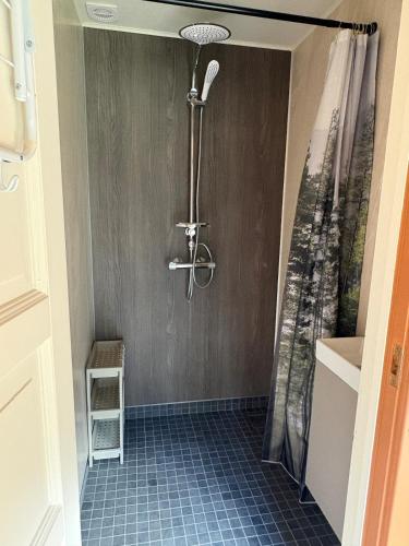 a shower in a bathroom with a blue tile floor at Hytter Brokefjell in Kviteseid