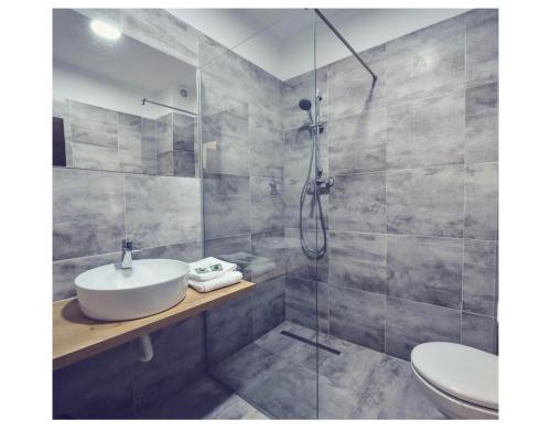 a bathroom with a sink and a glass shower at Villa Rosa in Timişoara